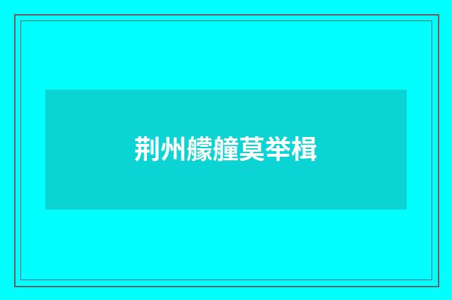 荆州艨艟莫举楫