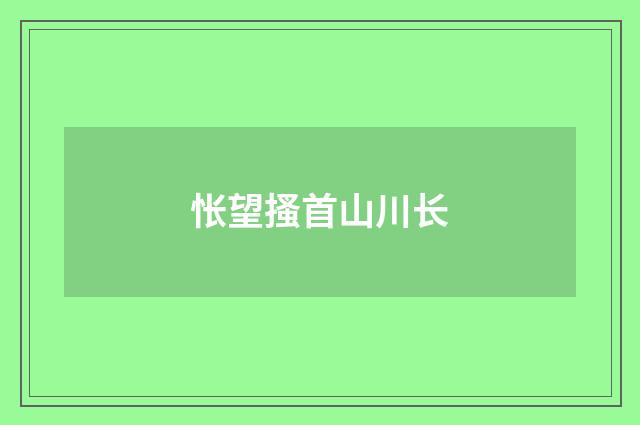 怅望搔首山川长