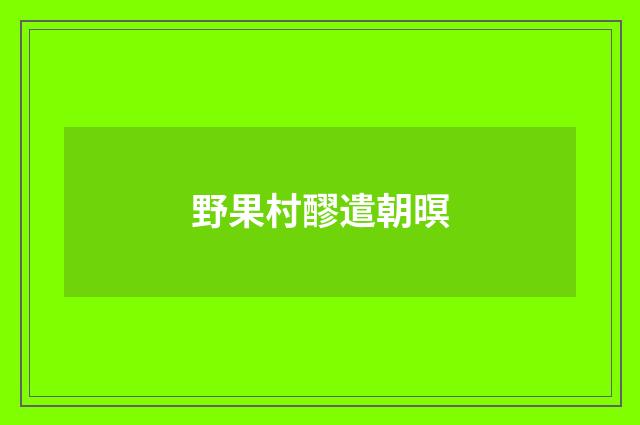 野果村醪遣朝暝