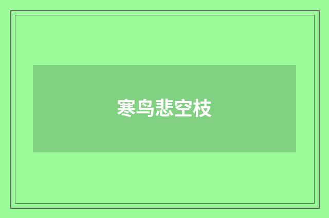 寒鸟悲空枝