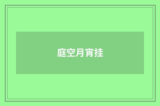 庭空月宵挂