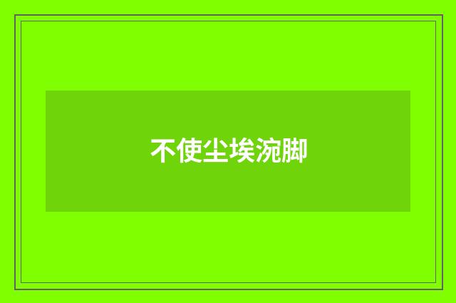 不使尘埃涴脚