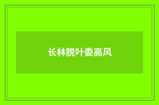 长林脱叶委高风