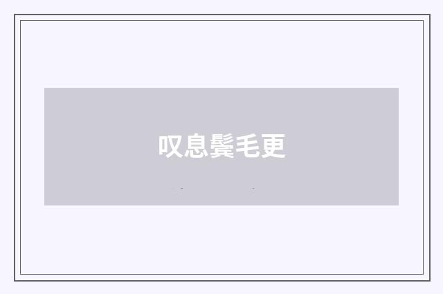 叹息鬓毛更