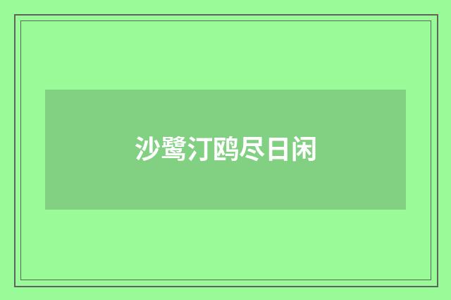 沙鹭汀鸥尽日闲