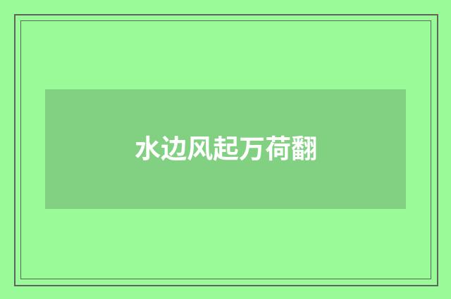 水边风起万荷翻