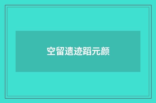空留遗迹蹈元颜