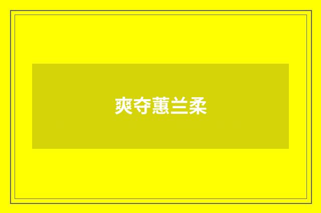爽夺蕙兰柔