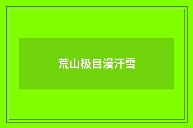 荒山极目漫汗雪