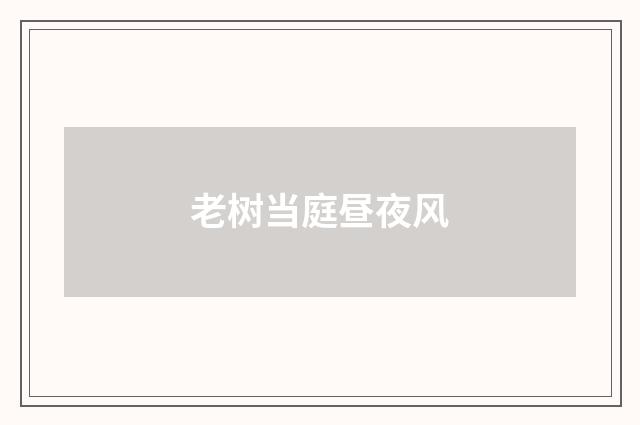 老树当庭昼夜风