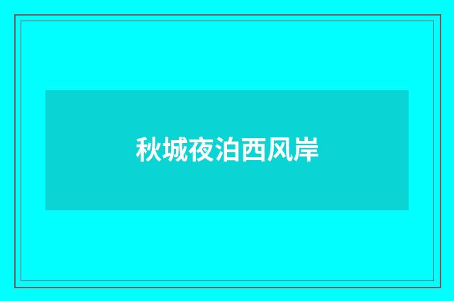 秋城夜泊西风岸