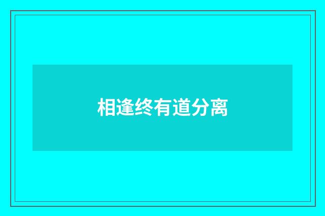 相逢终有道分离