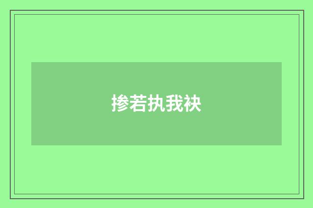掺若执我袂