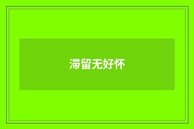 滞留无好怀