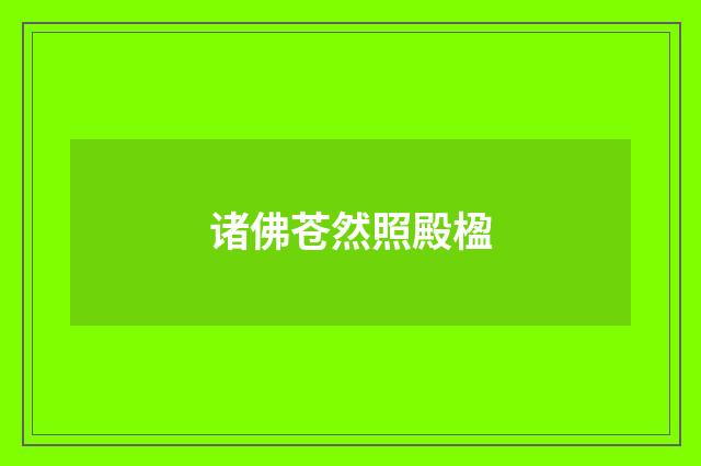 诸佛苍然照殿楹