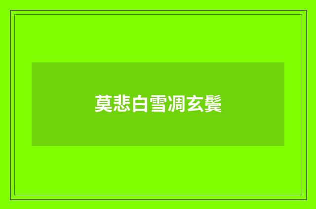 莫悲白雪凋玄鬓