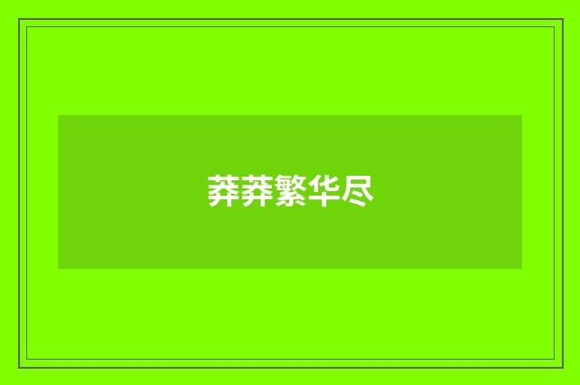 莽莽繁华尽