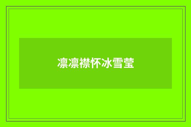 凛凛襟怀冰雪莹