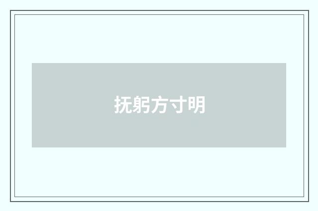 抚躬方寸明