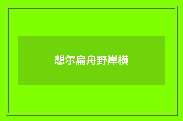 想尔扁舟野岸横