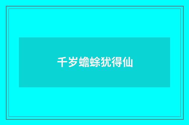 千岁蟾蜍犹得仙