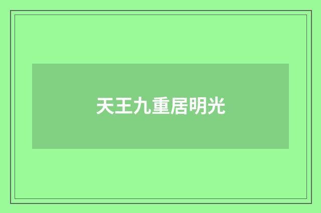 天王九重居明光