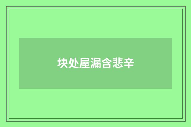 块处屋漏含悲辛