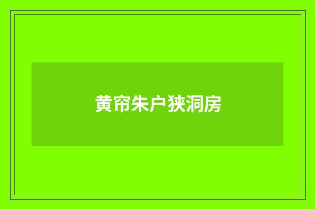 黄帘朱户狭洞房