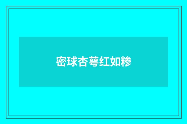 密球杏萼红如糁