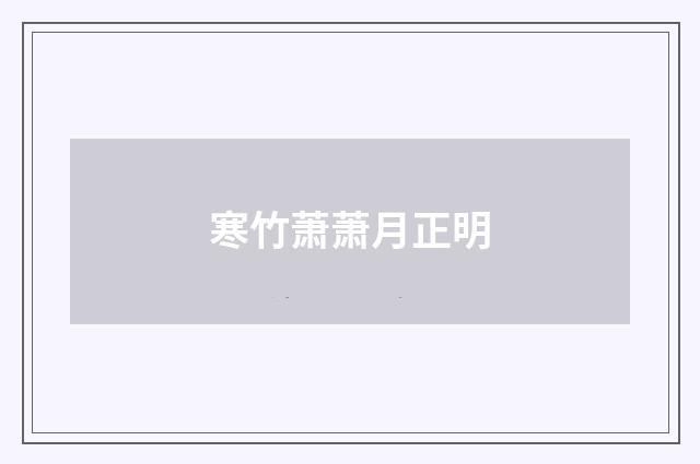 寒竹萧萧月正明