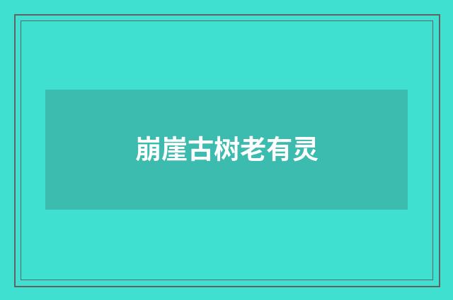 崩崖古树老有灵