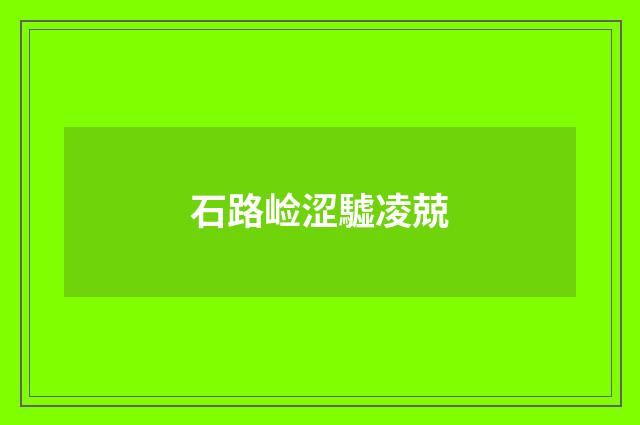 石路崄涩驉凌兢