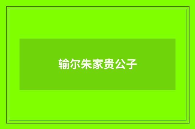 输尔朱家贵公子