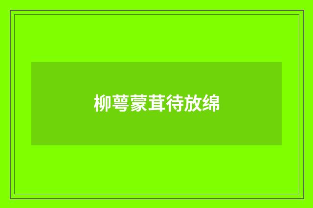 柳萼蒙茸待放绵