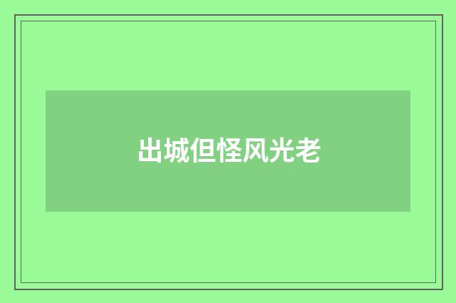 出城但怪风光老