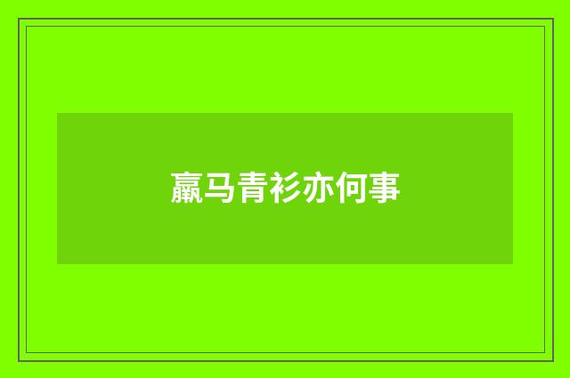 羸马青衫亦何事
