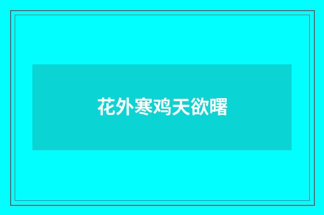 花外寒鸡天欲曙