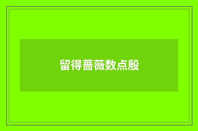 留得蔷薇数点殷