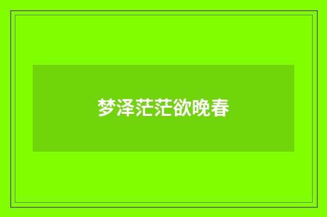 梦泽茫茫欲晚春