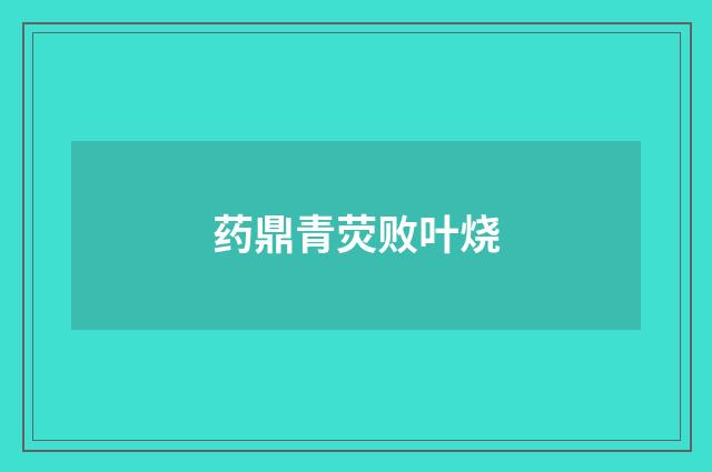药鼎青荧败叶烧