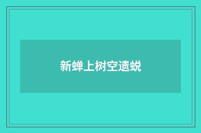 新蝉上树空遗蜕