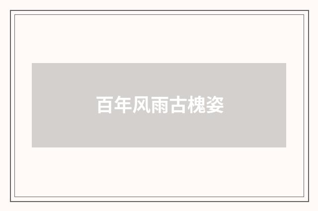 百年风雨古槐姿