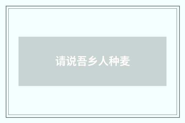 请说吾乡人种麦