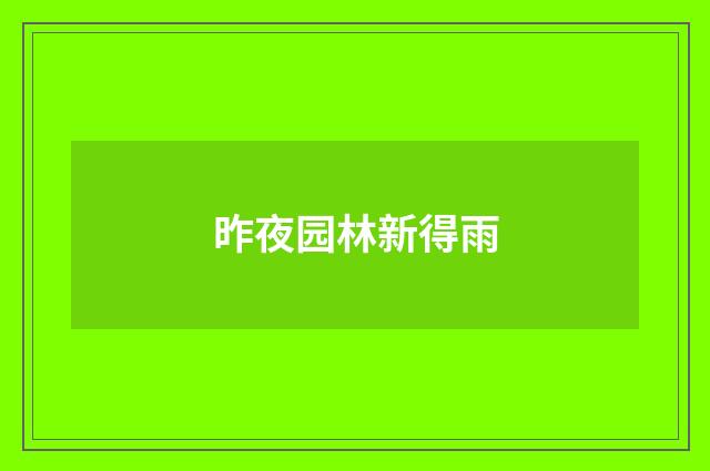 昨夜园林新得雨