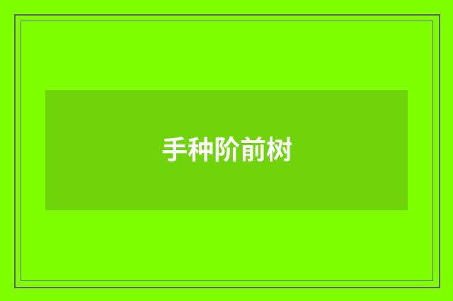 手种阶前树