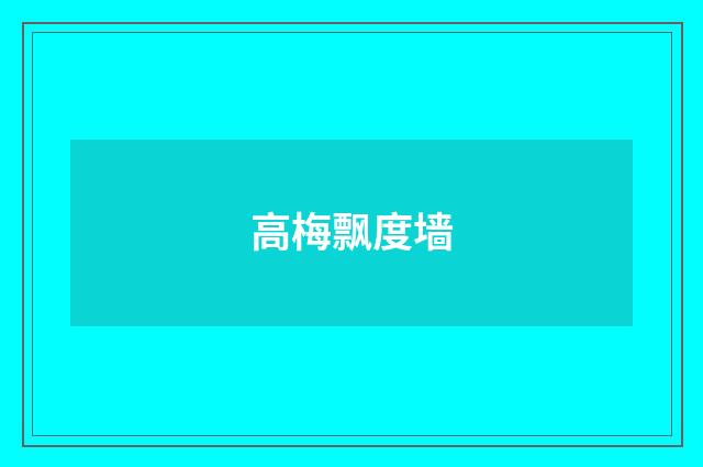高梅飘度墙