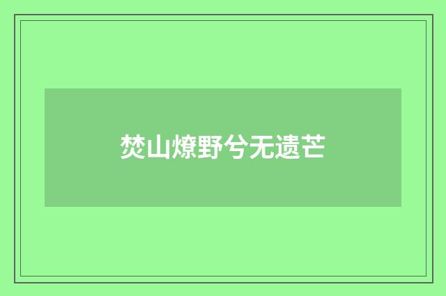 焚山燎野兮无遗芒