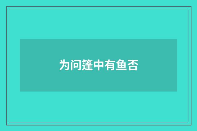 为问篷中有鱼否