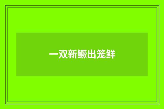 一双新鳜出笼鲜