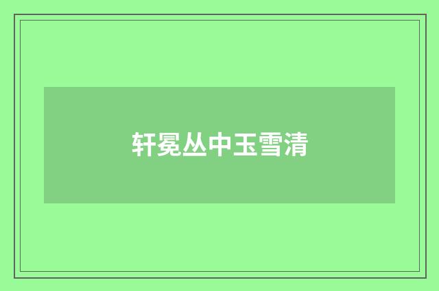 轩冕丛中玉雪清